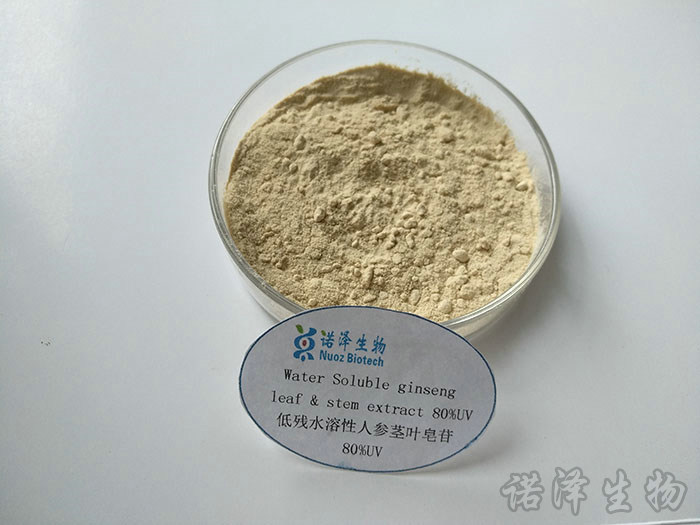 低残水溶性人参茎叶皂苷  80%UV