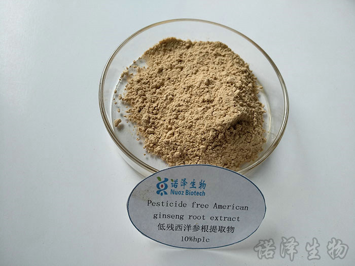 低残西洋参根提取物10%hplc