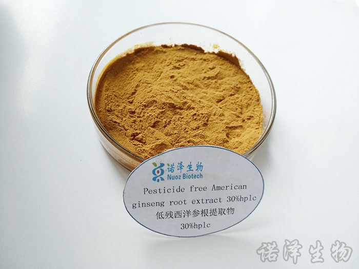 低残西洋参根提取物30%hplc