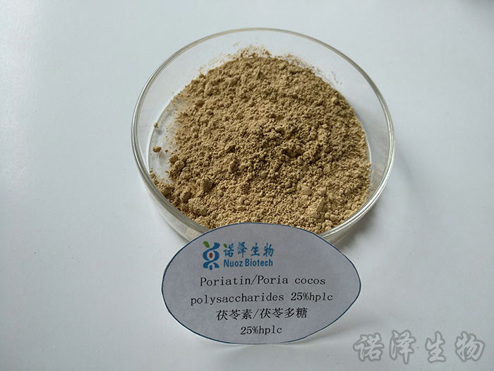 茯苓素-茯苓多糖  25%UV