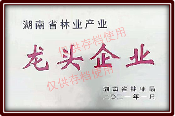 龙头企业