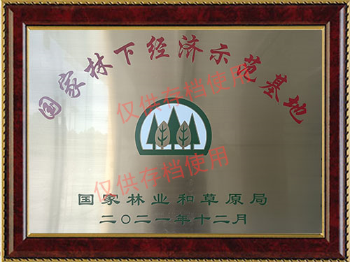 经济示范基地