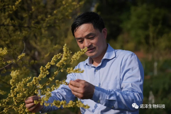 科创湖南之星|刘智谋：萃取中药精华，反哺一方经济