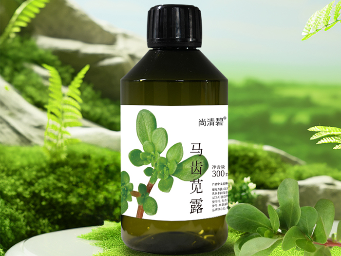 马齿苋露