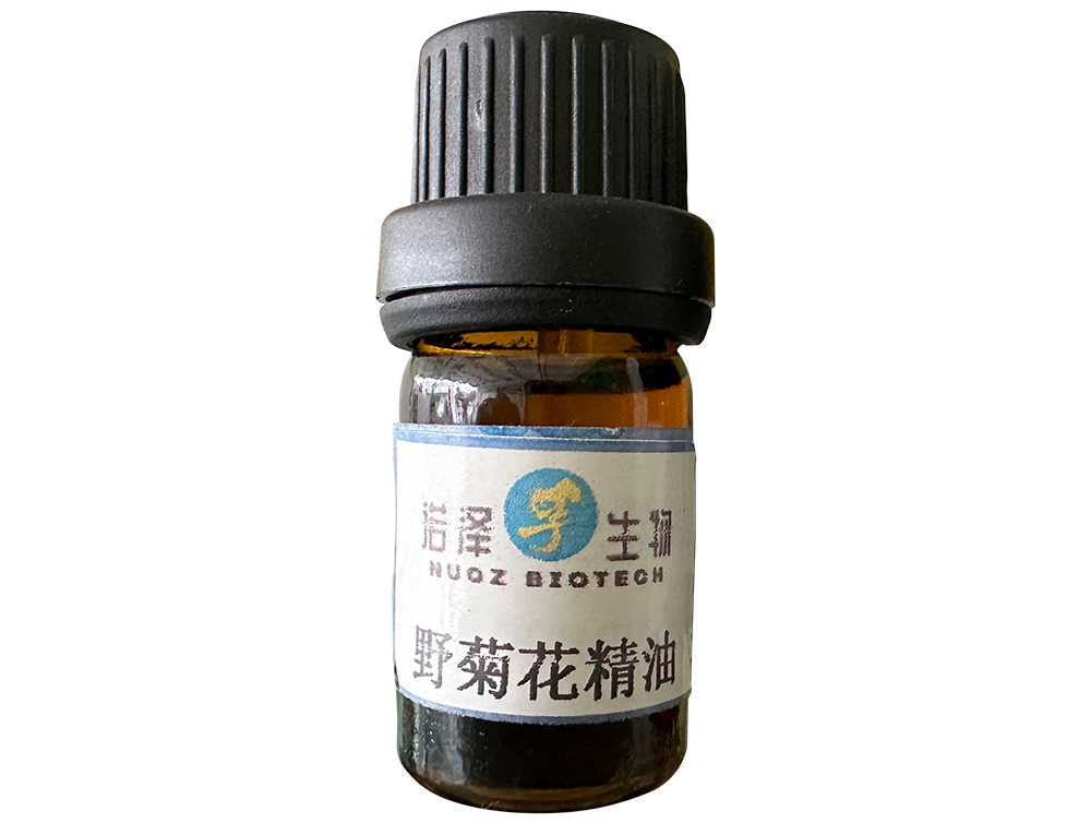 野菊花精油