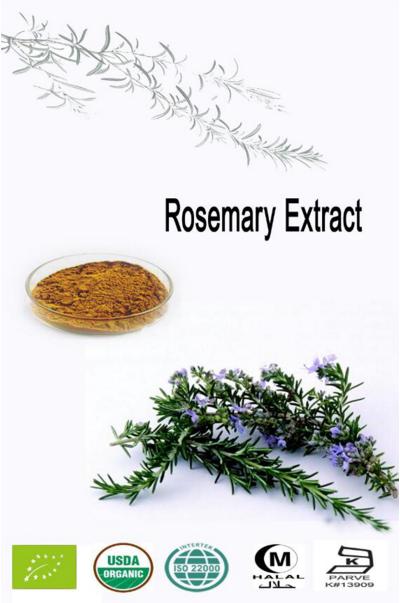 湖南诺泽生物科技有限公司,湖南健康植物提取物,保健品的原料有哪些,哪家公司的植物提取质量更好