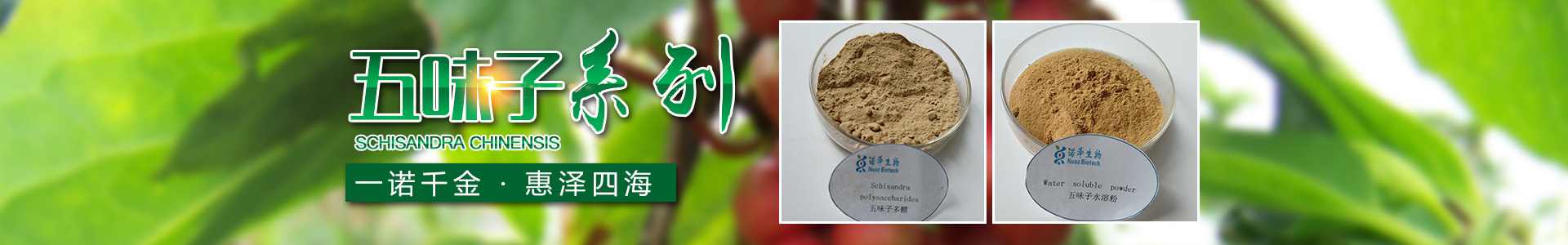 湖南诺泽生物科技有限公司_湖南健康植物提取物|保健品的原料有哪些|哪家公司的植物提取质量更好