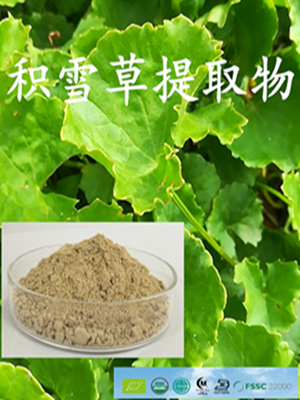 积雪草系列产品