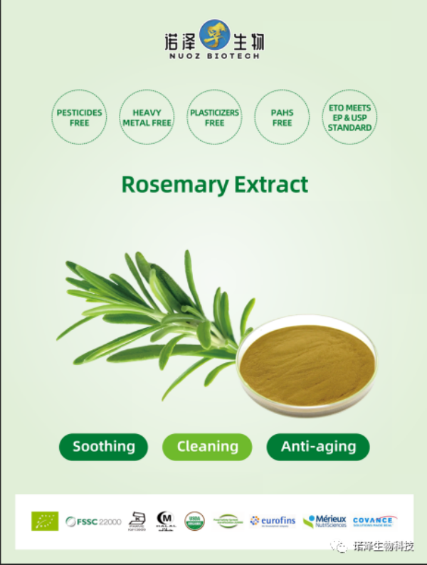 湖南诺泽生物科技有限公司,湖南健康植物提取物,保健品的原料有哪些,哪家公司的植物提取质量更好 湖南诺泽生物科技有限公司,湖南健康植物提取物,保健品的原料有哪些,哪家公司的植物提取质量更好