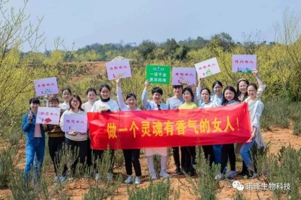 湖南诺泽生物科技有限公司,湖南健康植物提取物,保健品的原料有哪些,哪家公司的植物提取质量更好 湖南诺泽生物科技有限公司,湖南健康植物提取物,保健品的原料有哪些,哪家公司的植物提取质量更好