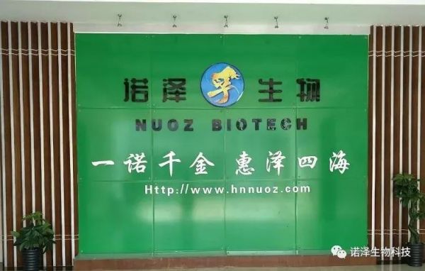 湖南诺泽生物科技有限公司,湖南健康植物提取物,保健品的原料有哪些,哪家公司的植物提取质量更好 湖南诺泽生物科技有限公司,湖南健康植物提取物,保健品的原料有哪些,哪家公司的植物提取质量更好
